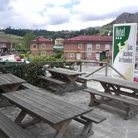 Hotel Acebos Arriondas