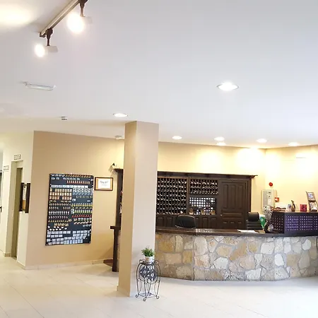 酒店 阿利昂达斯冬青树酒店 阿里翁达斯