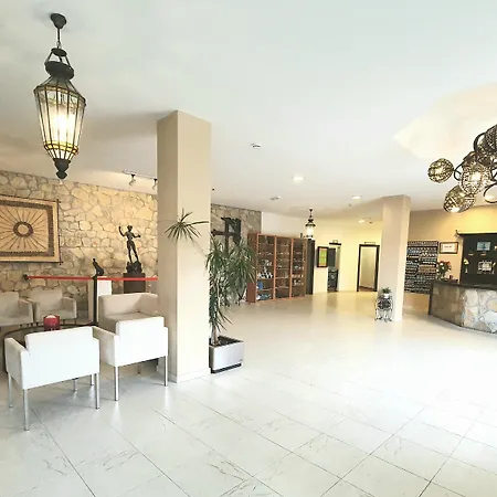 阿利昂达斯冬青树酒店 酒店 3*
