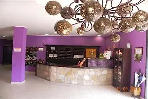 酒店 阿利昂达斯冬青树酒店 阿里翁达斯