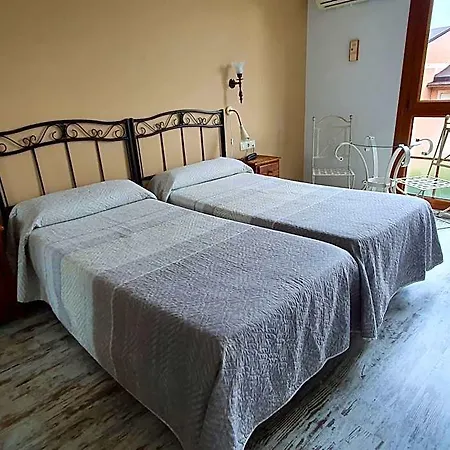 Acebos Arriondas