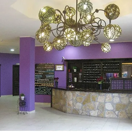 酒店 阿利昂达斯冬青树酒店 3*